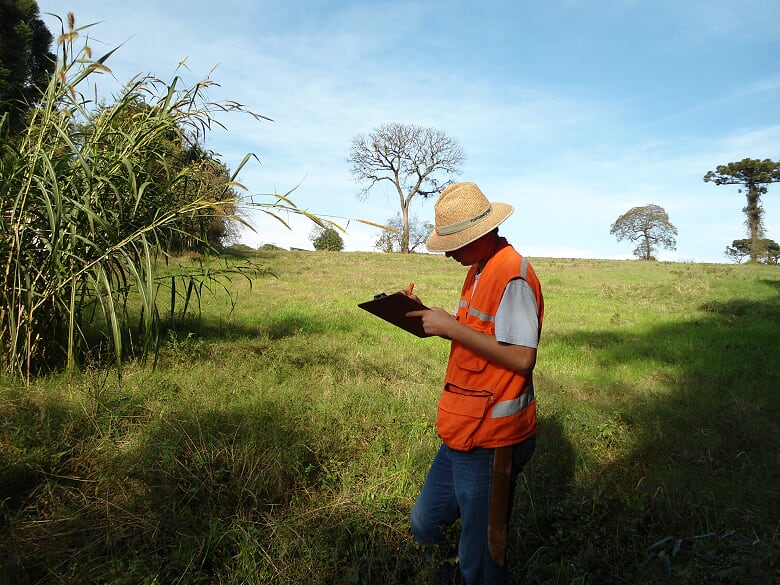 Perícia Ambiental