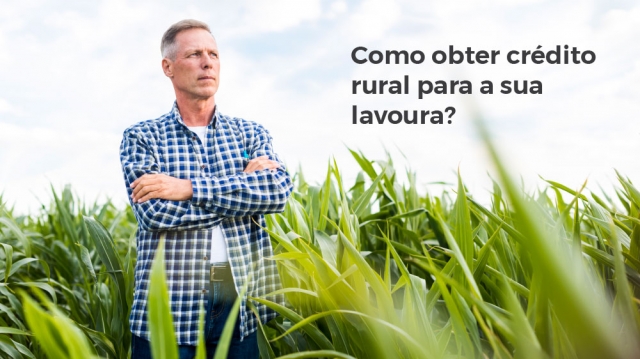 COMO OBTER CRÉDITO RURAL PARA A SUA LAVOURA? CONHEÇA OS PROJETOS BANCÁRIOS.