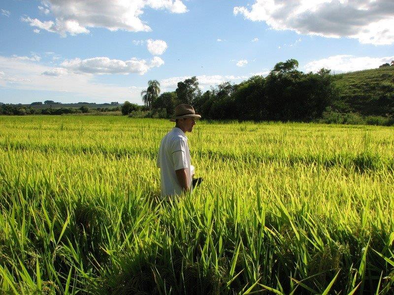 Assistência técnica rural