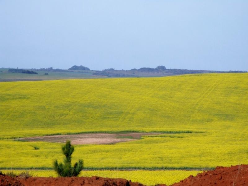 Cadastro ambiental rural