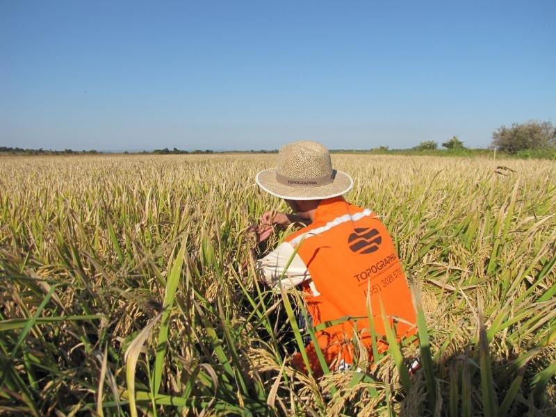 Consultoria agropecuaria