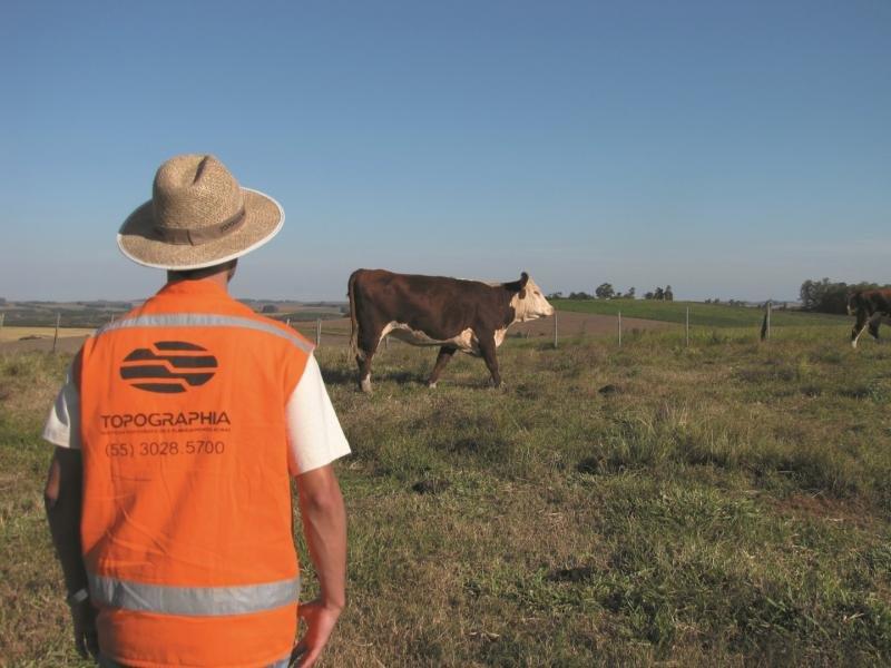 Laudo tecnico agropecuario